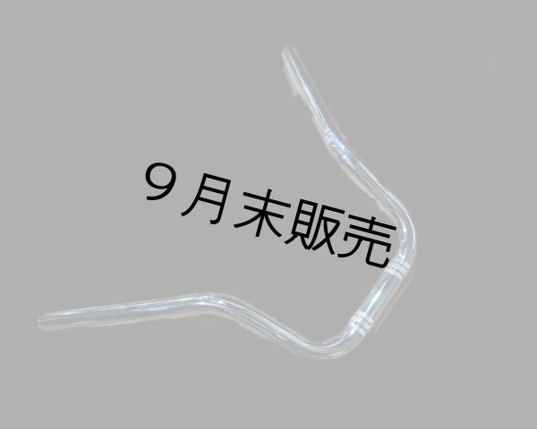 画像1: なるおハン絞り (1)